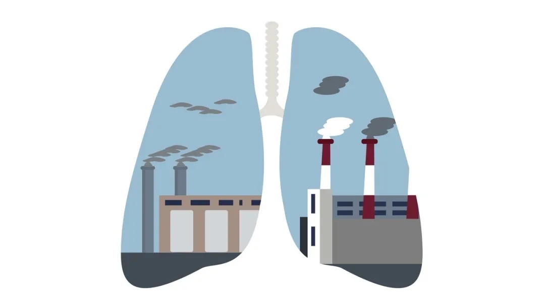 1590027562214376.jpg 1590027562214376.jpg